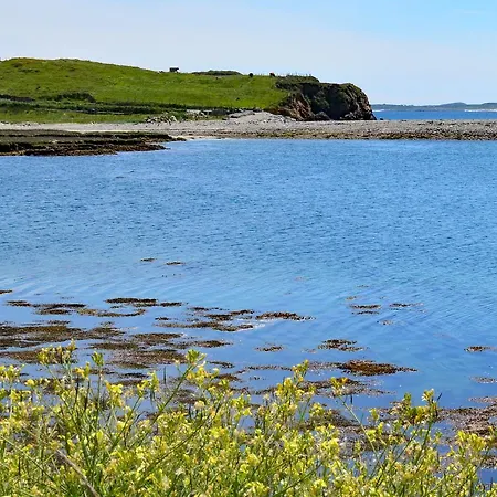 311 - * Clifden
