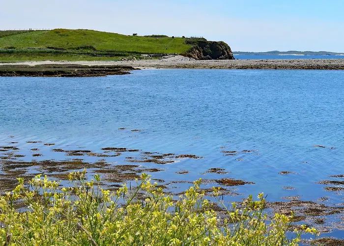 311 - * Clifden